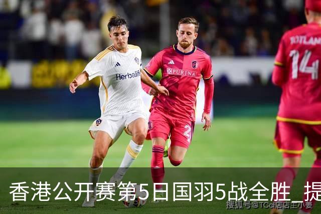 香港公开赛第5日国羽5战全胜 提前包揽混双冠亚军